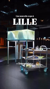 À l’occasion de la Saison Méditerranée 2026 de l’Institut Français, la Gare Saint Sauveur devient la Gare Méditerranée.📍Gare Saint-Sauveur, 17 Bd. Jean-Baptiste Lebas, 59000 Lille💶 Gratuit🗓️ Mercredi à Dimanche🕦 12h - 19h📆 Jusqu’au 27 Septembre