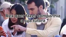 A dona quer limpar e o cachorro quer brincar