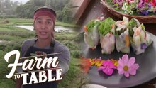 How to prepare fresh edible flower spring rolls? | Farm To Table