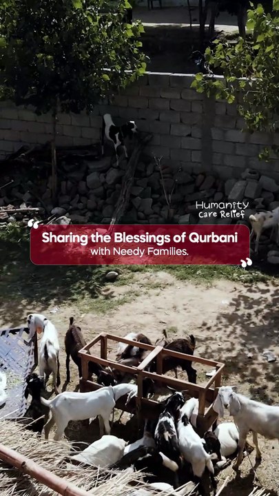 Feed the Ummah This Eid al-Adha