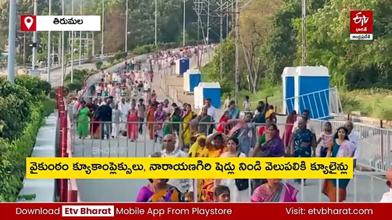 తిరుమలలో భక్తుల రద్దీ - రేపు ఉదయం వరకు క్యూలైన్​లోకి రావొద్దని టీటీడీ సూచన