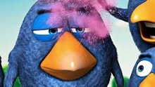 Try NOT to laugh! 🤣 Top Funniest Bird Moments #talkingbirds