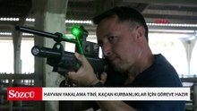 Hayvan yakalama timi, kaçan kurbanlıklar için göreve hazır