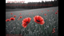 Opium für`s Volk? - Teil 5 - Hat die Wissenschaft Gott unmöglich gemacht? - Wissenschaft auf der Seite des Glaubens