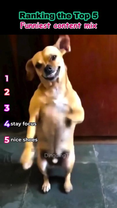 Ranking Top 5 funniest content mix -DTV