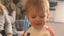 'This is... not a doggy, this is a bear' - 2 y/o corrects dad in the most polite way imaginable