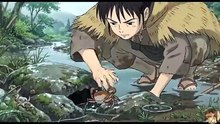 Survival