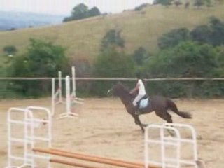 Concours de pollyonais  de maylis et lord