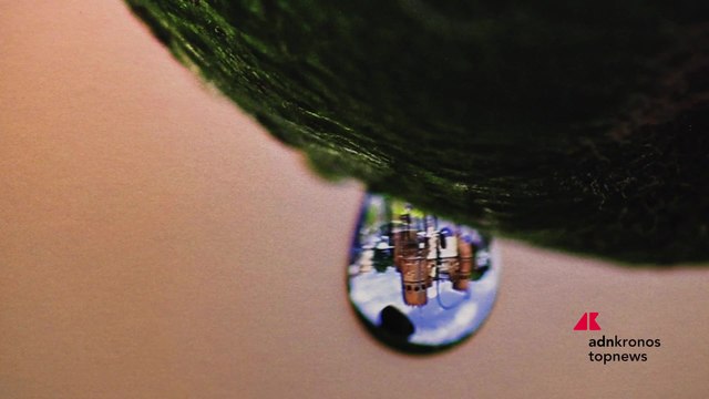Premio ACEA Contemporanea, annunciati i vincitori: il tema dell'acqua nel lavoro dei giovani artisti