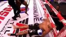 1 Hour Of Brutal Knockouts! - MMA, Bareknuckle, Boxing & Kickboxing