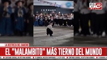 Nene bailó tremendo Malambo y enterneció a todos en las redes