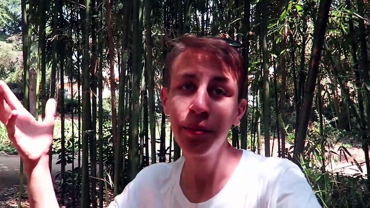 Ein wahrer Traum, oder doch das Paradies nach Barcelona