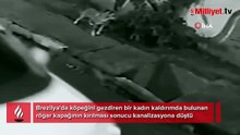 Köpeğini gezdirirken kanalizasyona düştü! Korkunç anlar kamerada