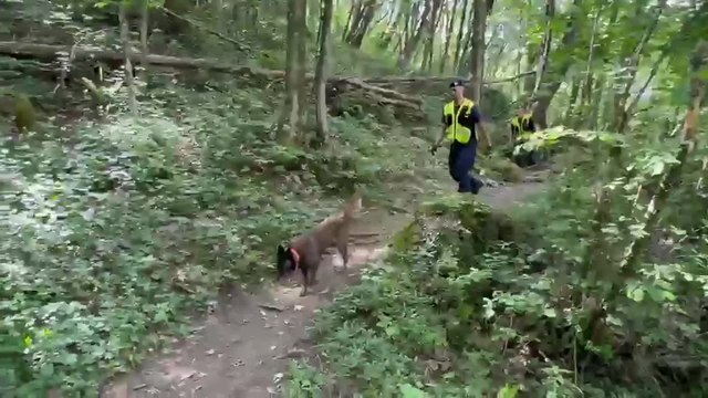 Pamela Genini, così i cani addestrati stanno cercando i resti profanati