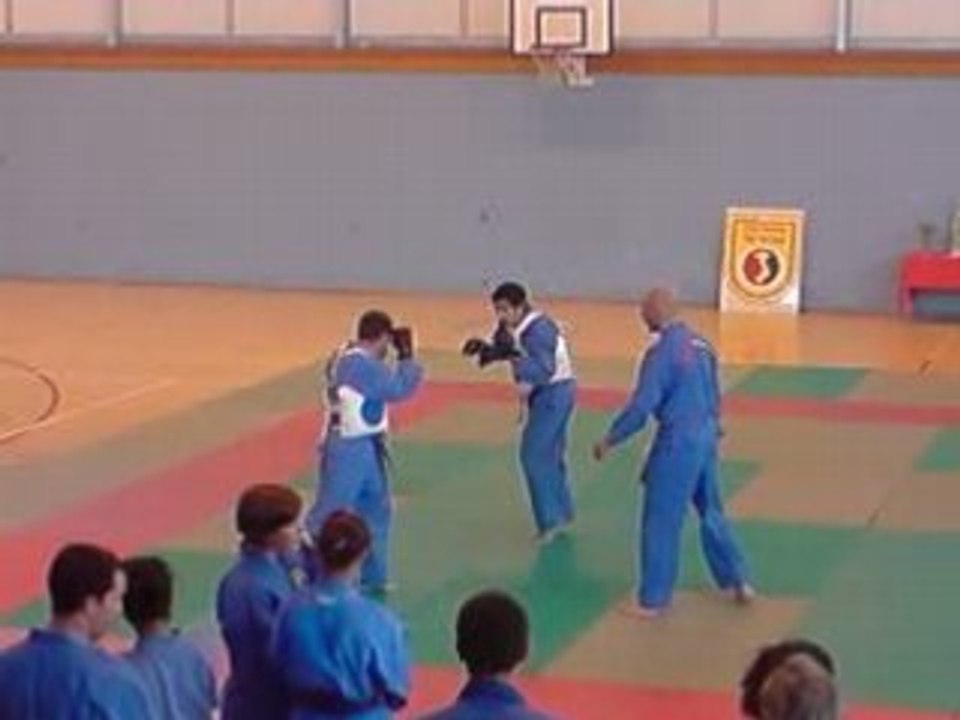 Passage de grade vovinam viet vo dao 2008 bordeaux