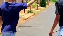 ​The Ultimate Stick Showdown