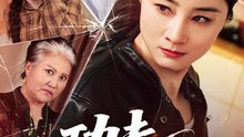 功夫丈母娘（55集）龙馨悦＆杨玉洁