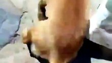 Tan Taşçı aradığı köpeğini buldu!