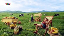 Lời Hứa Đầu Tiên Tập 11 - Phim Việt Nam VTV3 (FULL)