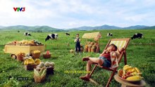 Lời Hứa Đầu Tiên Tập 11 - Phim Việt Nam VTV3 (FULL)