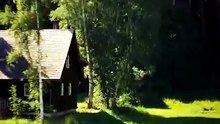 forest house