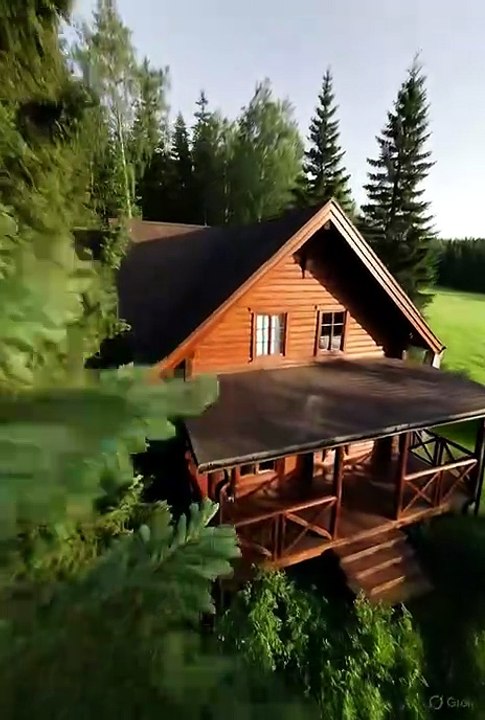 #house #forest #nature