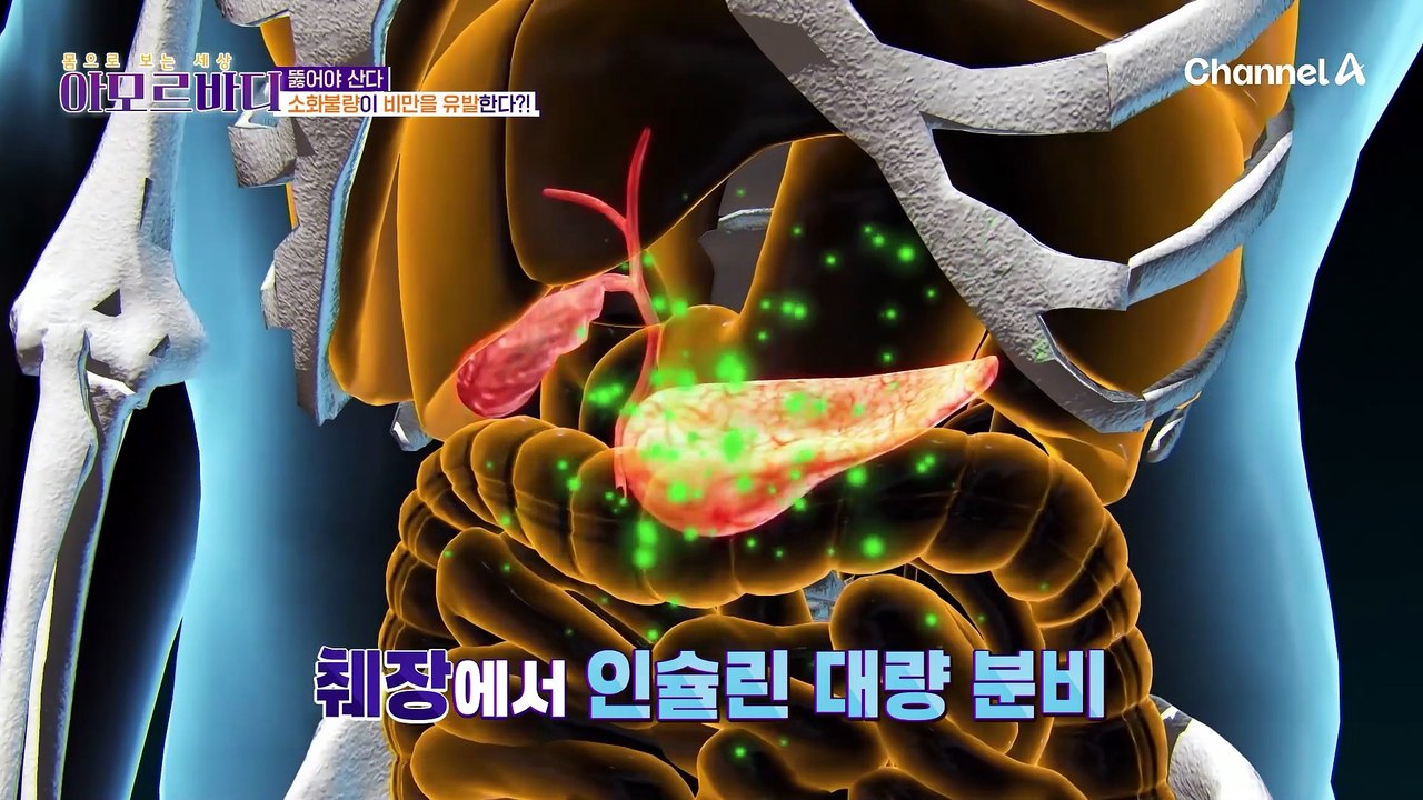 탄수화물 과다 섭취가 부른 소화불량?!