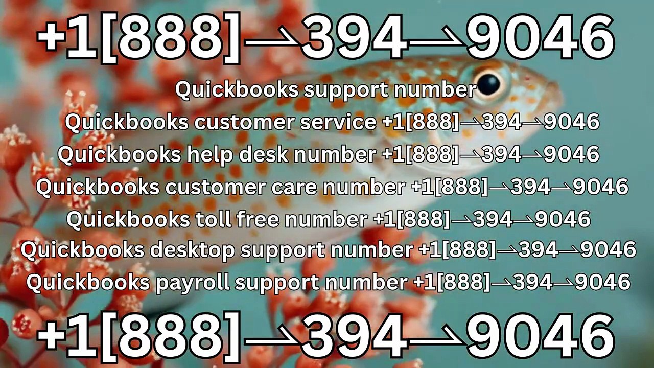Reach QuickBooks Desktop Support Without Delay