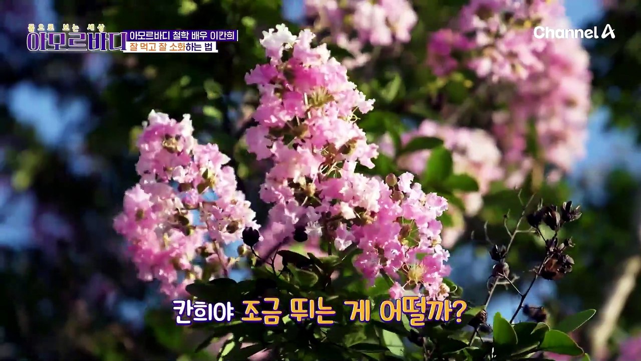 배우 이칸희의 아모르바디한 철학 공개! 소화력 개선을 돕는 효소가 따로 있다?!