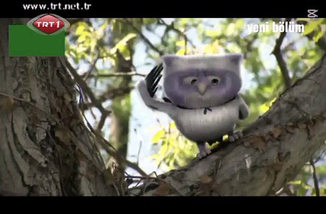 TRT ÇOCUK