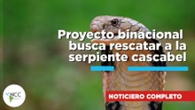 Proyecto binacional busca rescatar a la serpiente cascabel | 867 | 25 al 31 de mayo de 2026