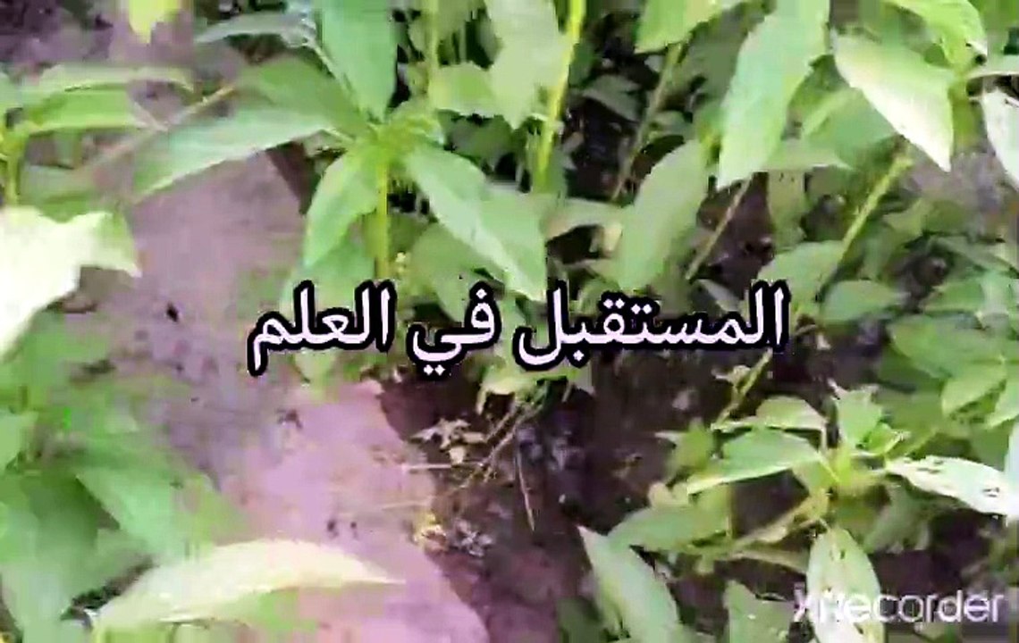 المستقبل في سلاح العلم والتعلم والبحث العلمي