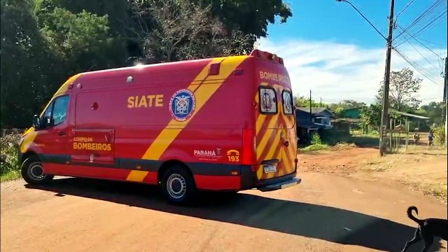 Menino de 4 anos é atacado por cachorro a caminho da escola e sofre corte no supercílio