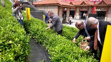 Rize'de Dünya Çay Günü etkinliği