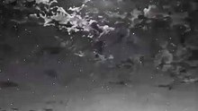 Reels video  #reels #video #viral #motivational