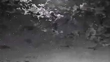 Reels video  #reels #video #viral #motivational