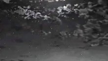Reels video  #reels #video #viral #motivational
