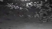 Reels video  #reels #video #viral #motivational