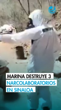 Marina desmantela tres narcolaboratorios de metanfetaminas en Sinaloa