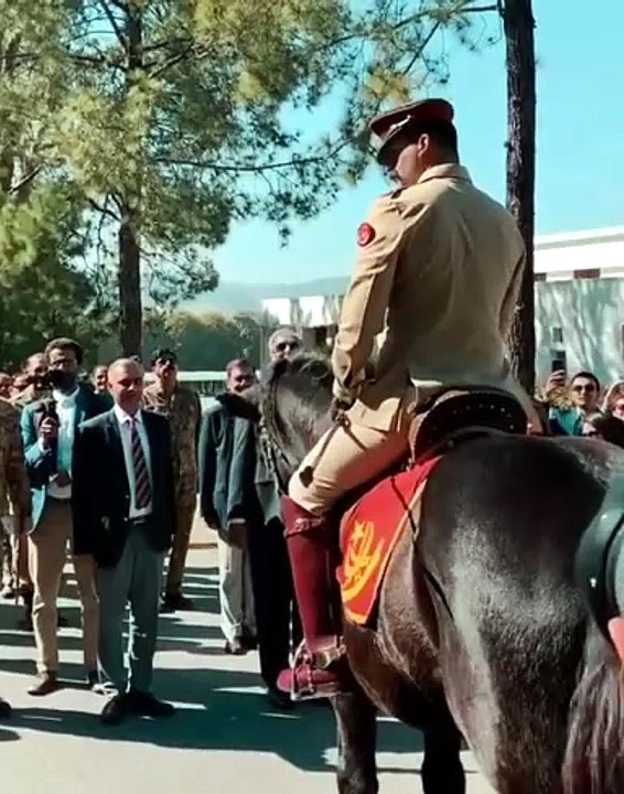 PMA ki ronaqe