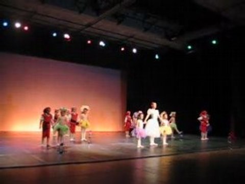Gala de danse 2008 (3)