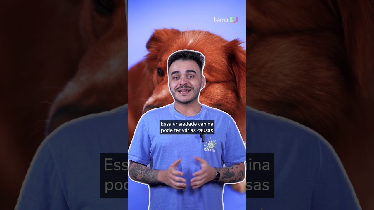 Estudo identifica que 84% dos cães sofrem com a...