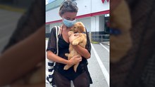 Surprising My Girlfriend with a Goldendoodle for Her Birthday