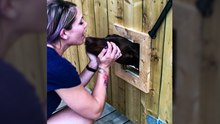 Dog appears to express 'I love you' after a month apart from owner