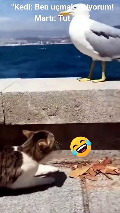 😃 😃 😃 😃