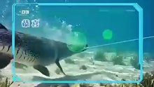 Reborn As A Fish, I Fought Back