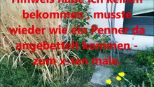 shirttree-pleite-30-mai-2026-besuch-mit-filmkamera