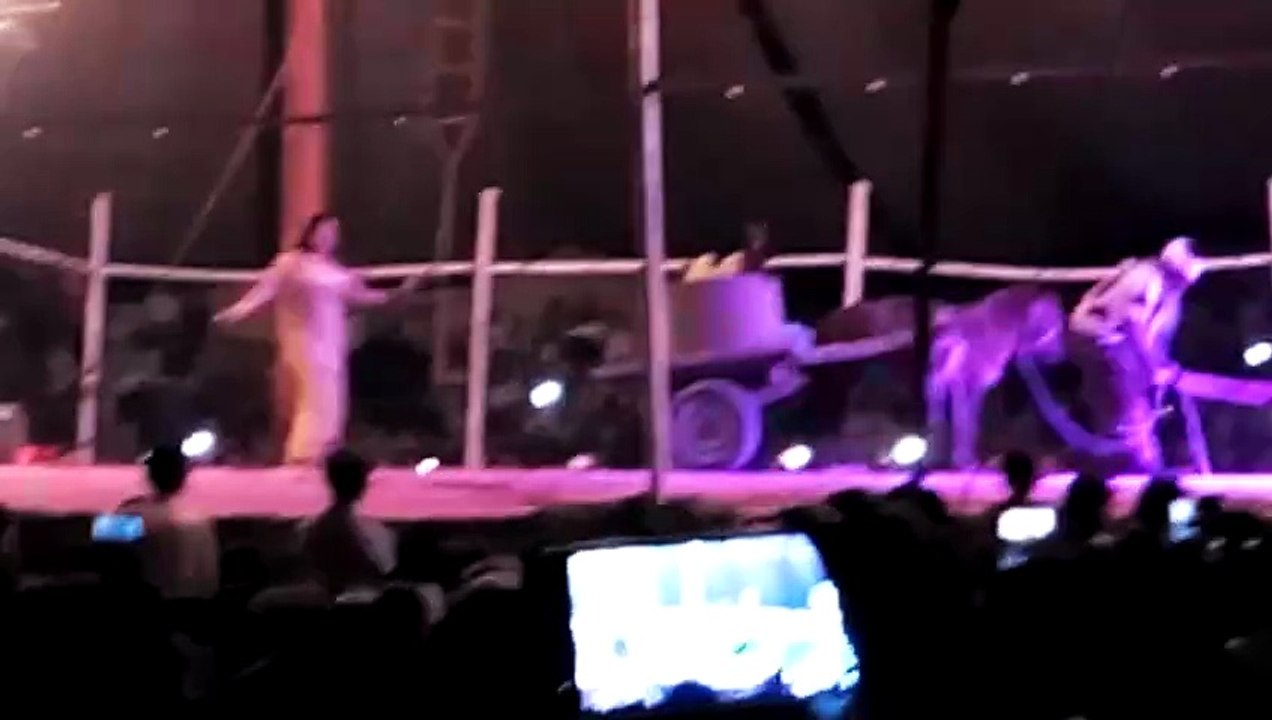 🎪 Lucky Irani Circus Show in Rohri Sukkur Sindh Pakistan | Part 12 | Final Circus Moments & Highlights
