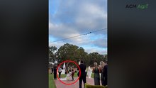 Shearer pulls off classic 'long blow' entrance with new bride