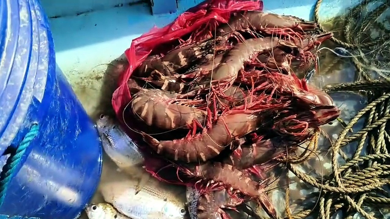Buying Fresh Pansat, Danglay, and Kabase Straight from the Pump Boat 🦐🐟 | MJR Vlogs